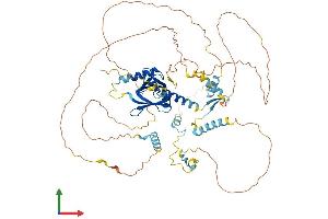 AlphaFold protein structure predicition of Mouse Recombinant Numb Protein, UniprotID Q9QZS3