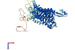 SLC33A1 Protein (AA 1-549) (His tag)