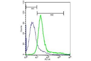 A549 cells probed with Rabbit Anti-Integrin Alpha V Polyclonal Antibody, FITC (ABIN678593-FITC) at 1:10 for 40 minutes (green) compared to control cells (blue). (CD51 Antikörper  (AA 901-1048))