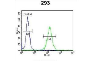 Flow Cytometry (FACS) image for anti-DAZ Interacting Protein 1 (DZIP1) antibody (ABIN3003968)