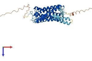 OPN1MW Protein (AA 1-359) (His tag)