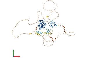 Protein Structure (PS) image for Autoimmune Regulator (AIRE) (AA 1-545) protein (His tag) (ABIN7552136)