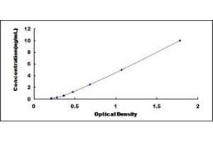 SFXN1 ELISA Kit