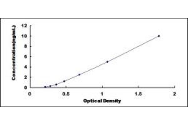 SFXN1 ELISA Kit