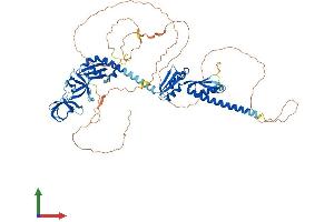 Protein Structure (PS) image for Fragile X Mental Retardation, Autosomal Homolog 2 (FXR2) (AA 1-673) protein (His tag) (ABIN7556334)