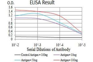 Black line: Control Antigen (100 ng),Purple line: Antigen (10 ng), Blue line: Antigen (50 ng), Red line:Antigen (100 ng) (Keratin 10 Antikörper  (AA 345-454))