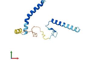 Protein Structure (PS) image for LLP Homolog, Long-Term Synaptic Facilitation (Aplysia) (LLPH) (AA 1-129) protein (His tag) (ABIN7549063)