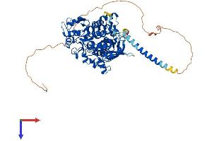 MTMR7 Protein (AA 1-660) (His tag)