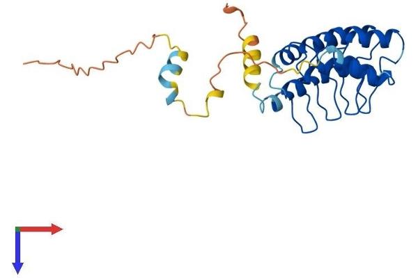 ANKRD49 Protein (AA 1-239) (His tag)