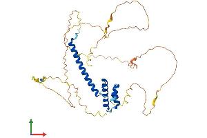 Protein Structure (PS) image for Neurogenic Differentiation 2 (NEUROD2) (AA 1-382) protein (His tag) (ABIN7554700)