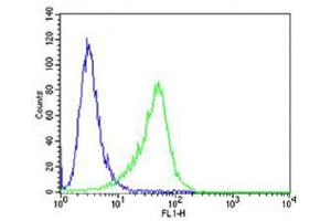 Flow cytometric analysis of A549 cells using C Antibody (Center) (green, Cat(ABIN654467 and ABIN2844201)) compared to an isotype control of rabbit IgG(blue). (CF150 (AA 266-295) Antikörper)