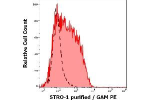Separation of CD45dim cells stained using anti-human STRO-1 (STRO-1) purified antibody (concentration in sample 4 μg/mL, GAM PE, red-filled) from CD45dim cells unstained by primary antibody (GAM PE, black-dashed) in flow cytometry analysis (surface staining) of human bone marrow cells. (STRO-1 Antikörper)