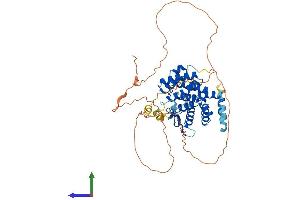Protein Structure (PS) image for Family with Sequence Similarity 126, Member A (FAM126A) (AA 1-521) protein (His tag) (ABIN7554153)