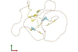 AlphaFold protein structure predicition of Human Recombinant FAM222A Protein, UniprotID Q5U5X8