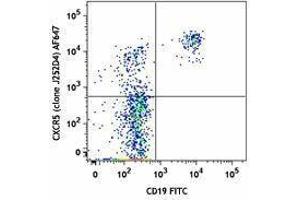 Flow Cytometry (FACS) image for anti-Chemokine (C-X-C Motif) Receptor 5 (CXCR5) antibody (Alexa Fluor 647) (ABIN2657144) (CXCR5 Antikörper  (Alexa Fluor 647))