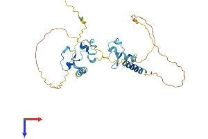 ZC3H8 Protein (AA 1-291) (His tag)