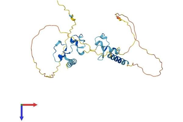 ZC3H8 Protein (AA 1-291) (His tag)
