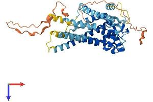 SLC25A46 Protein (AA 1-418) (His tag)