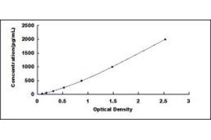 Typical standard curve (CD200 ELISA Kit)