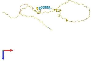 TCEAL3 Protein (AA 1-200) (His tag)