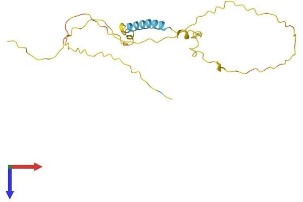 TCEAL3 Protein (AA 1-200) (His tag)