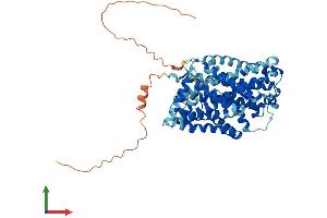 Protein Structure (PS) image for Solute Carrier Family 7 (Amino Acid Transporter, L-Type), Member 8 (SLC7A8) (AA 1-535) protein (His tag) (ABIN7554355)