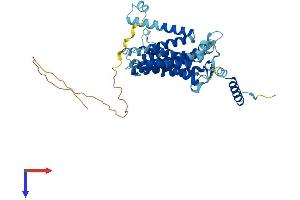 CDS1 Protein (AA 1-461) (His tag)