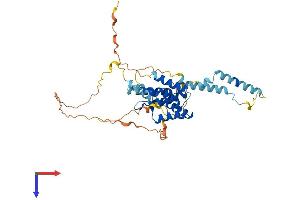 SNAPC1 Protein (AA 1-389) (His tag)