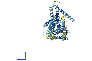 Protein Structure (PS) image for Limb Region 1 Homolog (LMBR1) (AA 1-490) protein (His tag) (ABIN7561555)