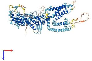 TRPV2 Protein (AA 1-756) (His tag)
