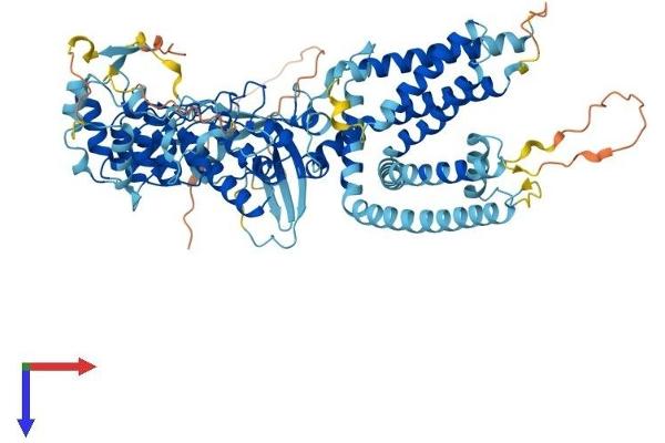 TRPV2 Protein (AA 1-756) (His tag)