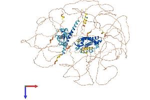 SYNRG Protein (AA 1-1314) (His tag)