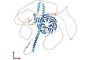 Protein Structure (PS) image for Transducin-Like Enhancer of Split 1 (E(sp1) Homolog, Drosophila) (TLE1) (AA 1-770) protein (His tag) (ABIN7555774)