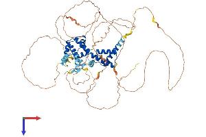 HNF1A Protein (AA 1-631) (His tag)