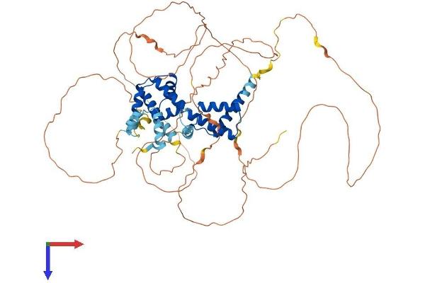 HNF1A Protein (AA 1-631) (His tag)