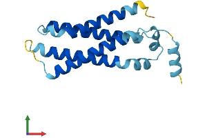 Protein Structure (PS) image for Transmembrane Protein 138 (TMEM138) (AA 1-162) protein (His tag) (ABIN7544560)