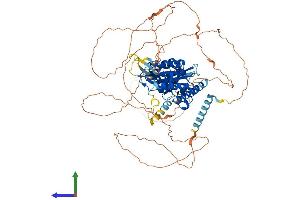 Protein Structure (PS) image for Single-Minded Homolog 1 (SIM1) (AA 1-765) protein (His tag) (ABIN7557653)