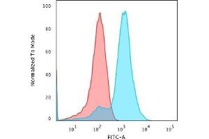 Flow Cytometric Analysis of MeOH-fixed HepG2 cells using Glypican-3 Rabbit Recombinant Monoclonal Antibody (GPC3/1534R) followed by Goat anti-rabbit- IgG-CF488 (Blue); Isotype Control (Red). (Glypican 3 Antikörper)