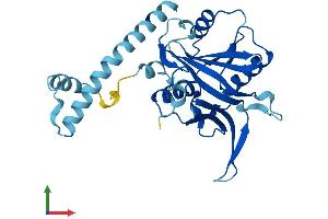 AlphaFold protein structure predicition of Mouse Recombinant Imp4 Protein, UniprotID Q8VHZ7