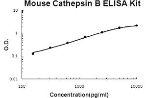 Mouse Cathepsin B Accusignal ELISA Kit Mouse Cathepsin B AccuSignal ELISA Kit standard curve. (Cathepsin B ELISA Kit)