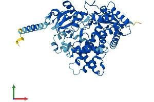 Protein Structure (PS) image for Cytochrome P450, Family 2, Subfamily D, Polypeptide 10 (CYP2D10) (AA 1-504) protein (His tag) (ABIN7562996)