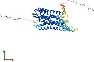 Protein Structure (PS) image for omega-3 Fatty Acid Receptor 1 (O3FAR1) (AA 1-361) protein (His tag) (ABIN7564187)