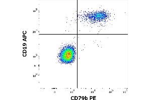 Flow cytometry multicolor surface staining of human lymphocytes stained using anti-human CD79b (CB3-1) PE antibody (10 μL reagent / 100 μL of peripheral whole blood) and anti-human CD19 (LT19) APC antibody (10 μL reagent / 100 μL of peripheral whole blood).