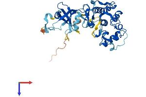 CDK10 Protein (AA 1-360) (His tag)