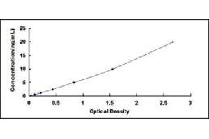 Typical standard curve (FNTB ELISA Kit)