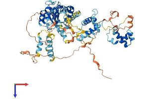 POGK Protein (AA 1-607) (His tag)