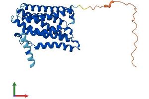 Protein Structure (PS) image for ELOVL Fatty Acid Elongase 2 (ELOVL2) (AA 1-296) protein (His tag) (ABIN7553782)