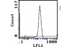 Tissue Distribution by Flow Cytometry Analysis: (CD8 Antikörper  (FITC))