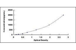ELISA image for CD9 (CD9) ELISA Kit (ABIN417578)