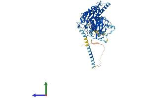 Protein Structure (PS) image for Ectonucleoside Triphosphate diphosphohydrolase 4 (ENTPD4) (AA 1-613) protein (His tag) (ABIN7561301)